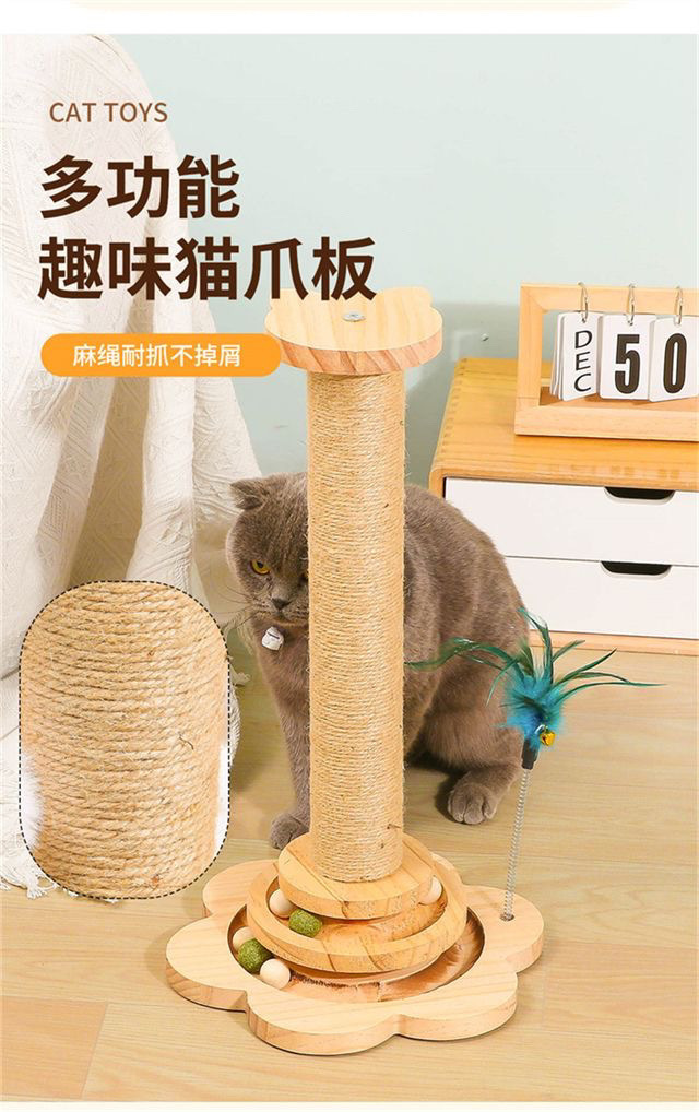 76db4648-9698-46f4-8d1a-7706bf7cf5d1.jpe