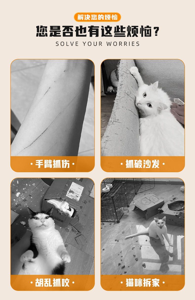 d765a92c-b7d3-471b-acac-687d6045bfb8.jpe