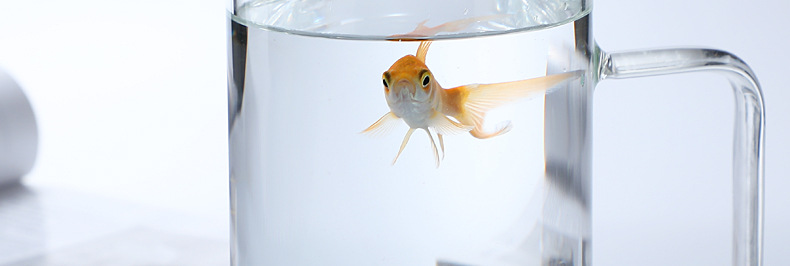 O1CN01ZgNf3p2CZ69nLjo0c_!!2206