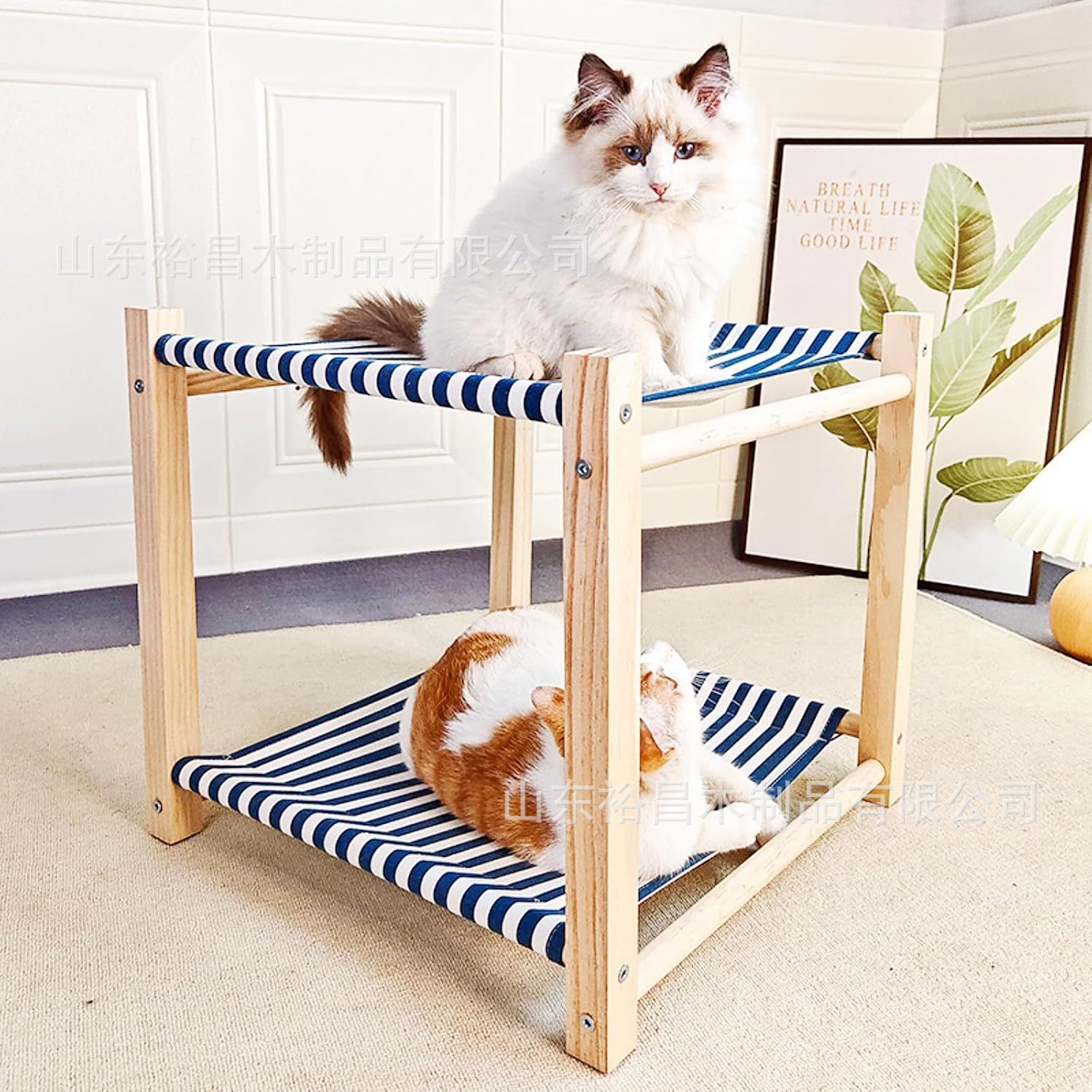 815u8-jUPoL._AC_SL1500_