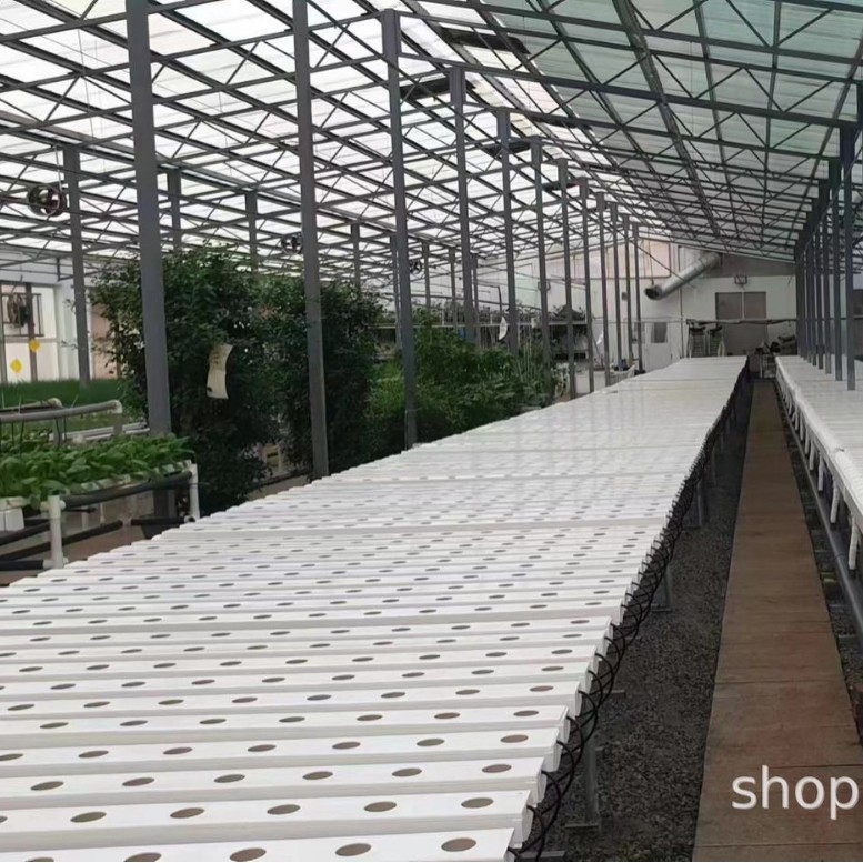 2025-05-30 09:01:26.jpg