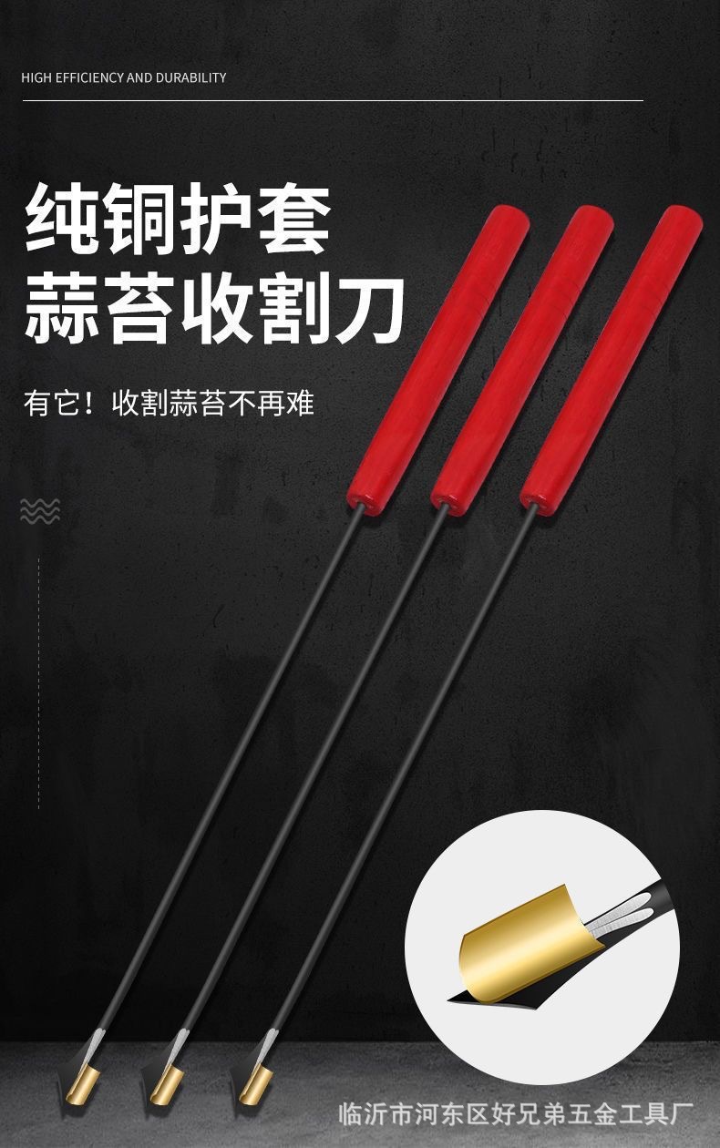 微信图片_20250414152517.jpg