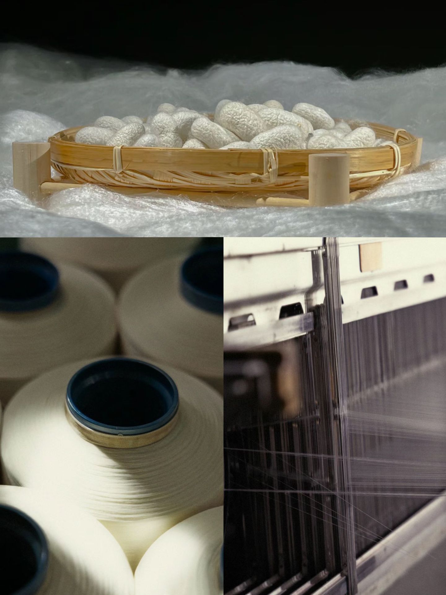 db263a3d5ff4f6d954d8b6f0c5a019