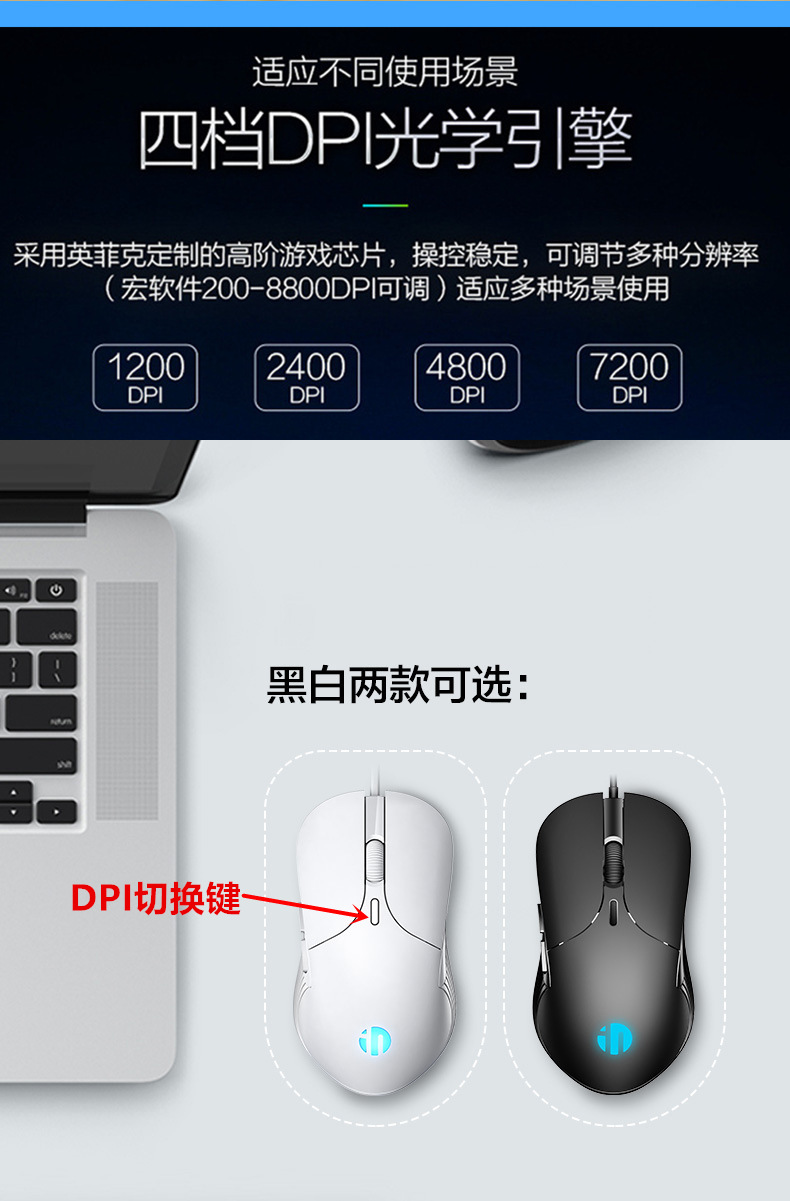 B1白的详情2_副本