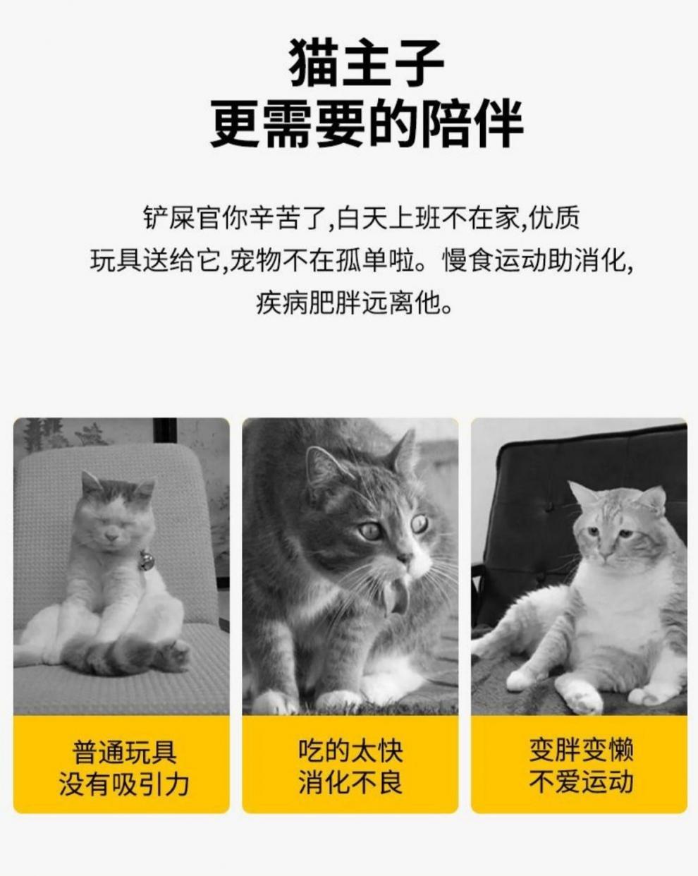 7a1f407a-06c1-4cc4-a81c-9bb4717814e8.jpe