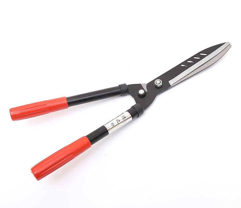 O1CN01K5IpEe29djTZnPwGY_!!4267