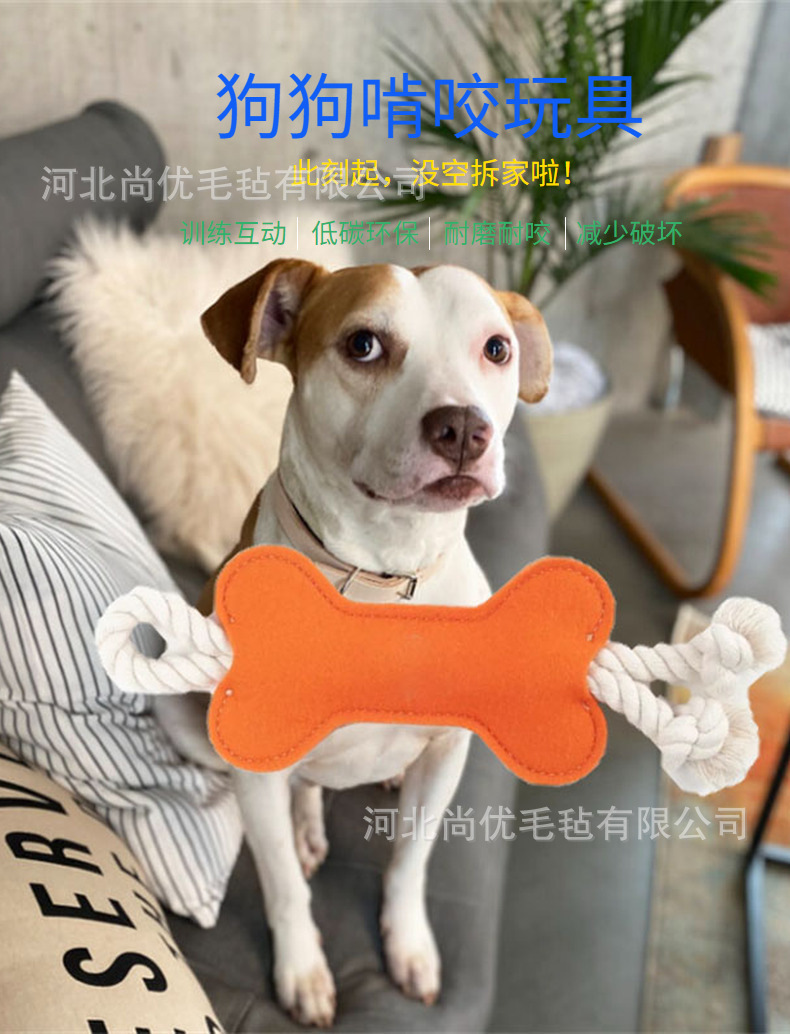 3-狗磨牙骨头玩具 (16)
