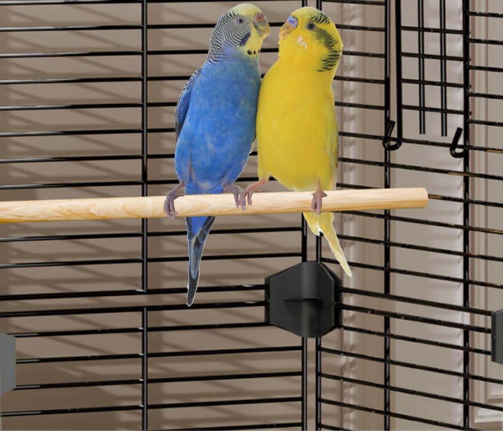 0db70515-018b-48db-bfa3-3d9750cd38c5.jpe