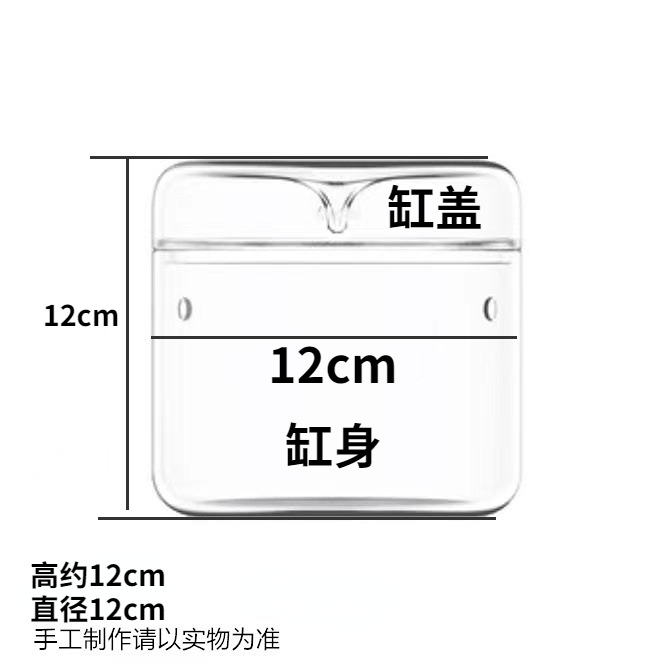 12+12微景观缸