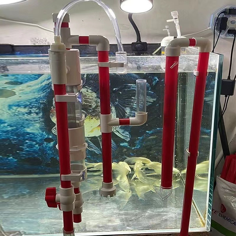 79062c13-52ce-407e-904d-676c3b395665.jpe