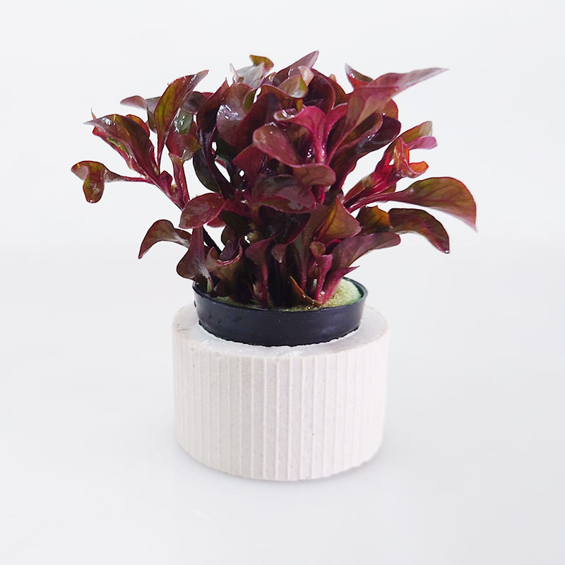 392b0b44643238ffe776b335668f83