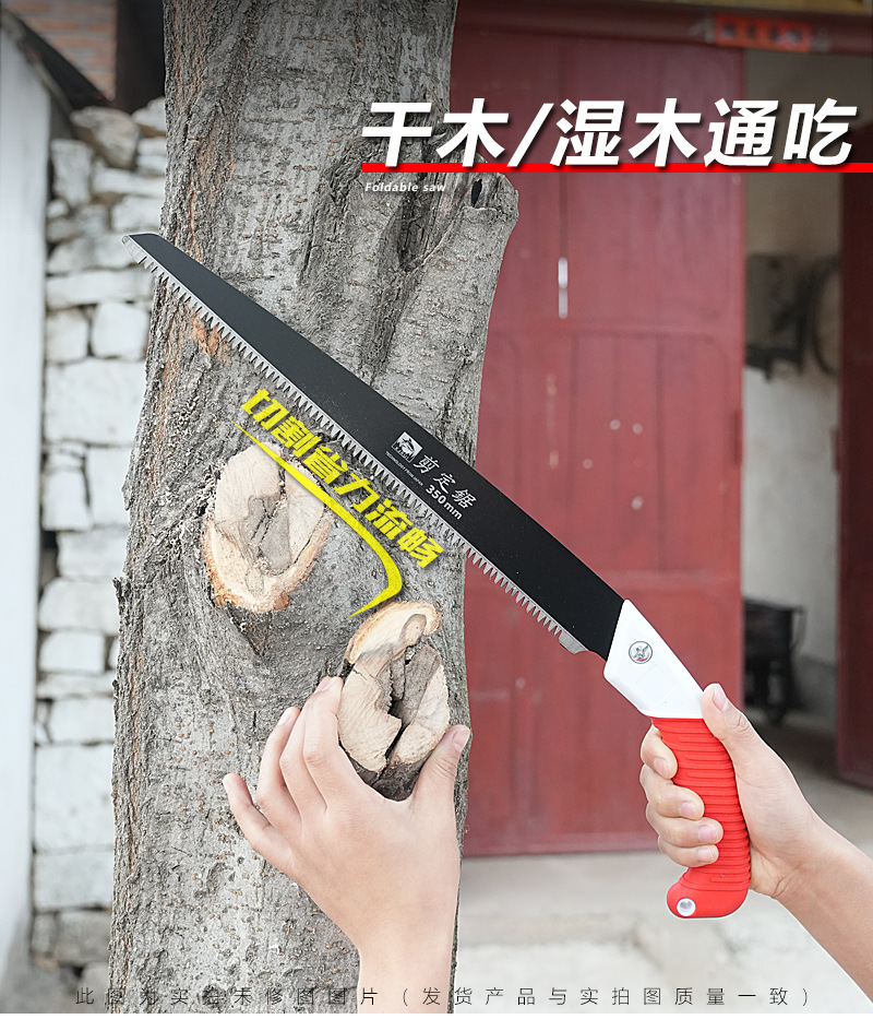 2.jpg?x-oss-process=image/format,png