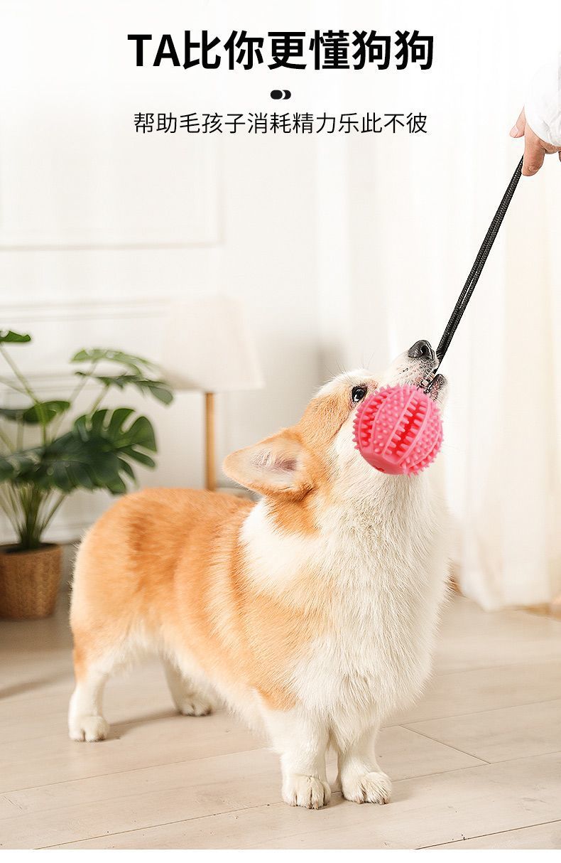 896b0dac-26a7-4faf-b4a3-732fffef756a.jpe