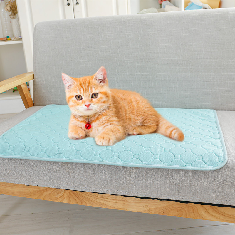 _YZL1441 P个猫_副本