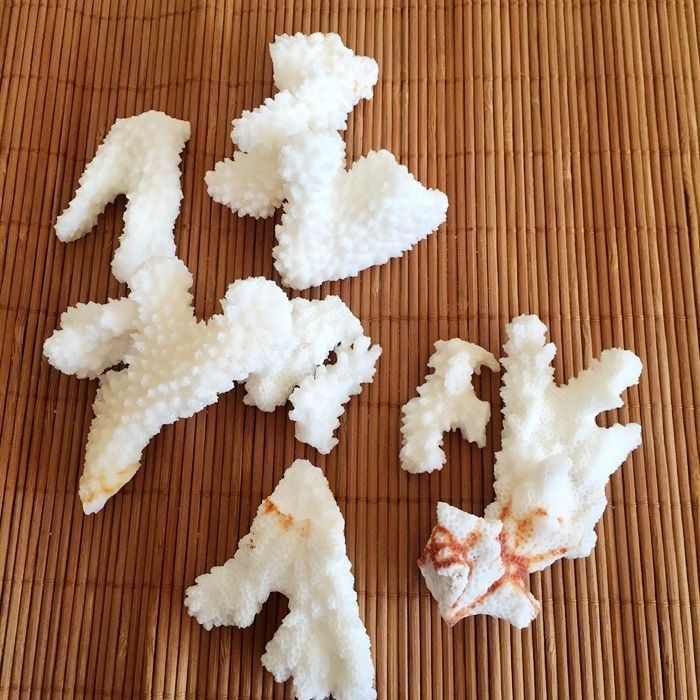 bee5ce8f-5af1-47d7-9e54-02490bd47005.jpe