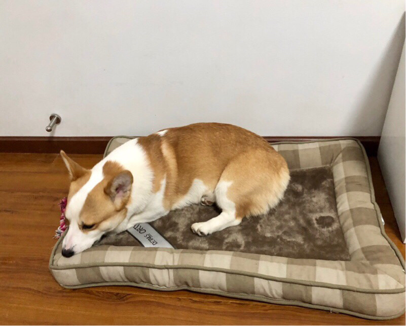 /O1CN01RtKsqX1XoJN1a9L21_!!2219415092970-0-cib.jpg?x-oss-process=image/format,png