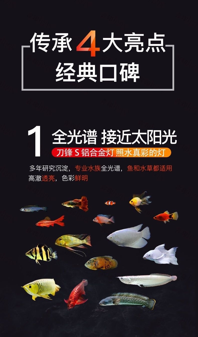 870a4b22-27b5-4965-acd9-11942caeaf1a.jpe