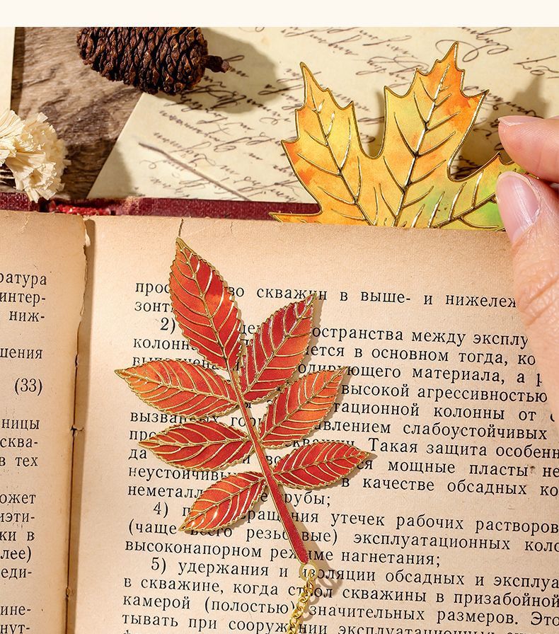 ce2fb26e-e65f-4f6b-813c-6c979a45d722.jpe