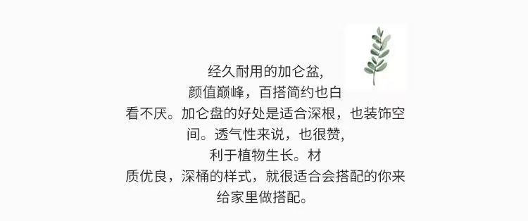 4e07558d-c85e-4a0f-90d2-76b508381b9a.jpe