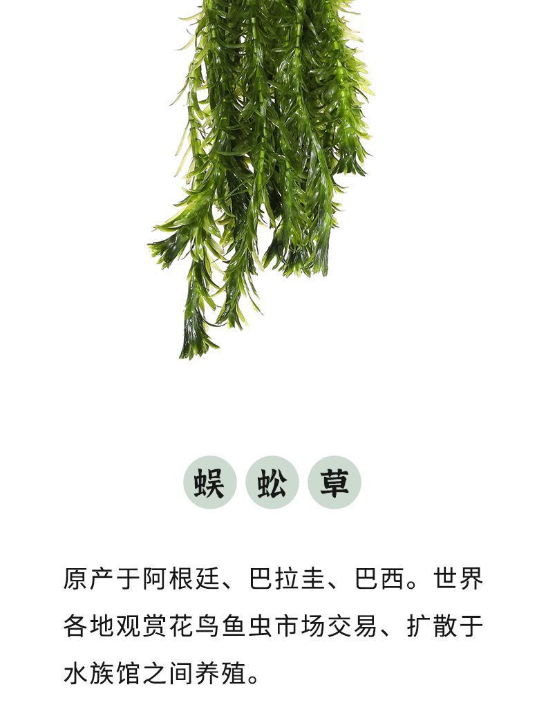 e6dd95d1-f143-42d6-95de-d0977b96e130.jpe