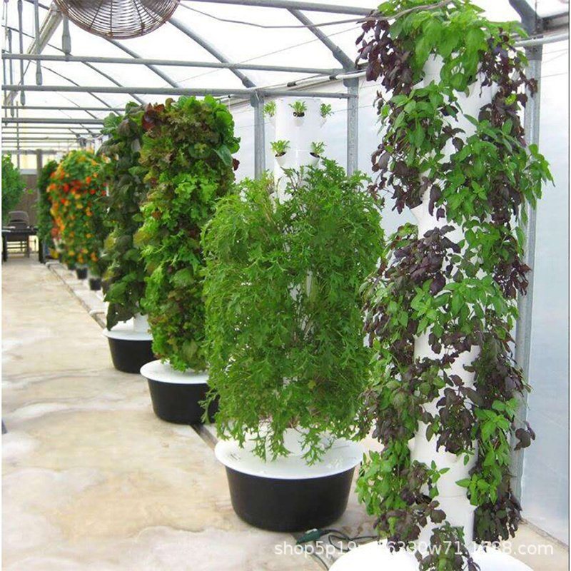 Xiamen-Fortop-Biotech-Co-Ltd-