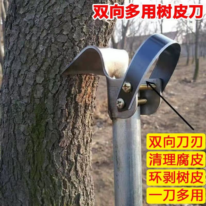 848e2eec-1890-4b2a-b49f-c67122bb3c82.jpe