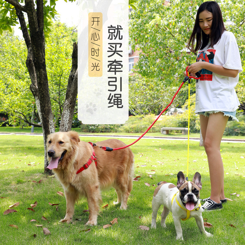 d8cbde19-aab2-447b-bd10-cfe1148b2675.jpg