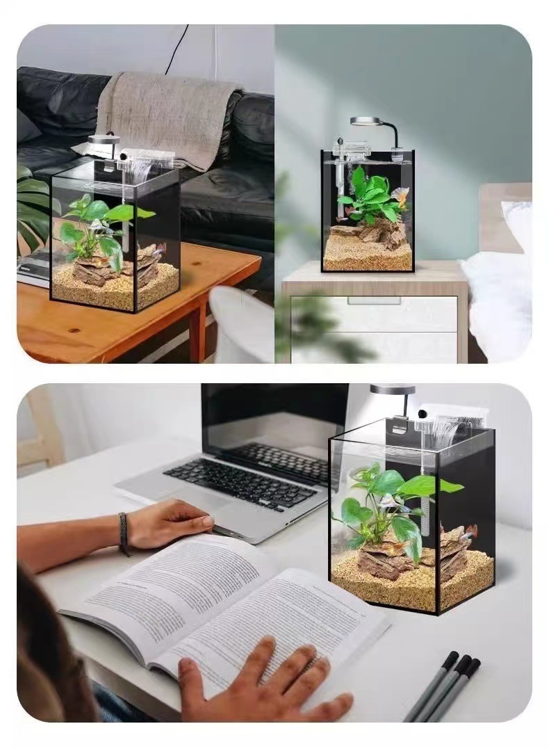 7763d9c3-ab45-4ee3-9a9f-11b66e9a34ec.jpe