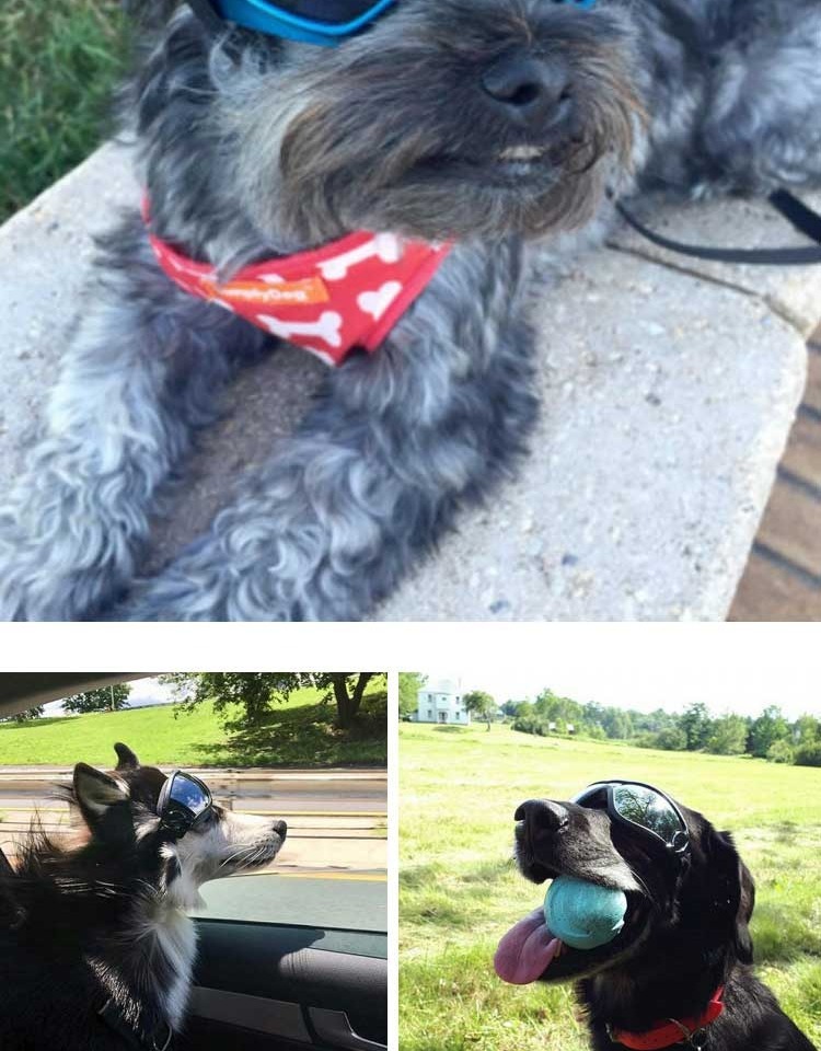 e891ffad-b5ec-4d52-91ec-497d2552a2aa.jpe