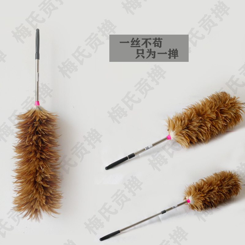 cca9c60c-1cb4-4143-9d68-74a5cac2f898.jpg?x-oss-process=image/format,png