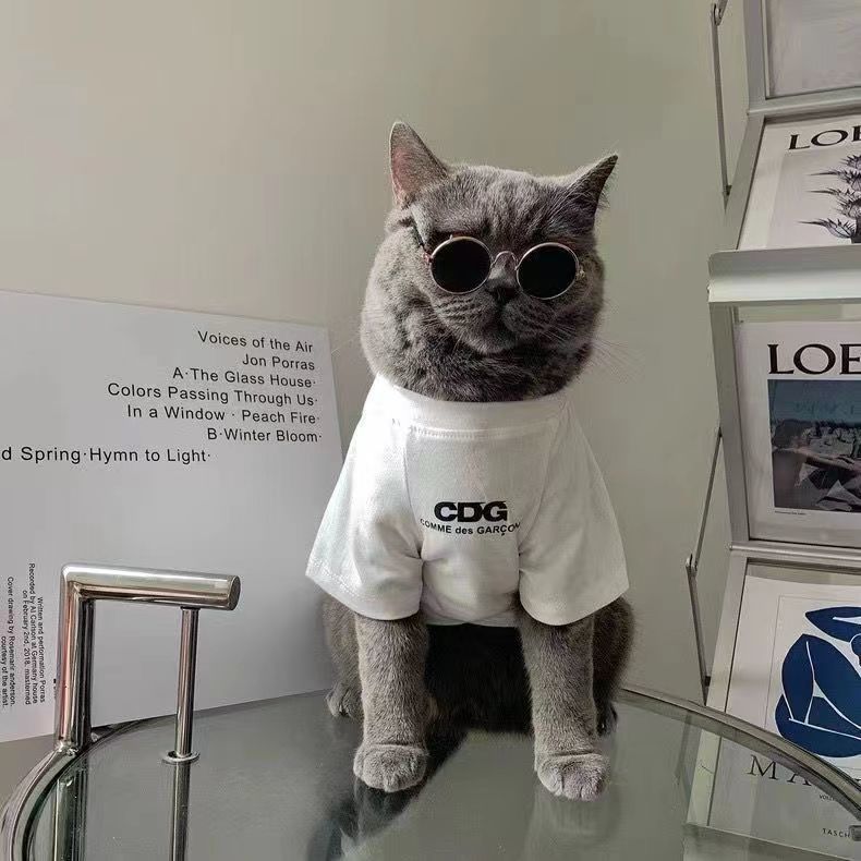 cc12ed22-4462-49d1-b6da-2b385c680441.jpe