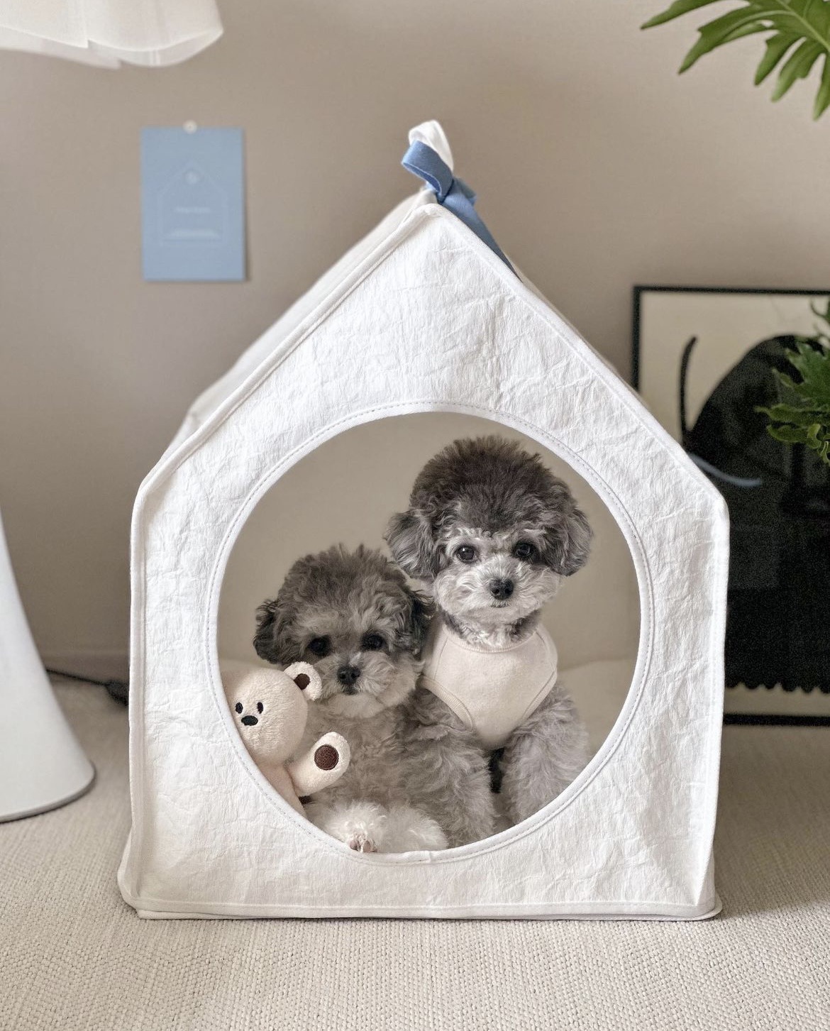 微信图片_20230725170516