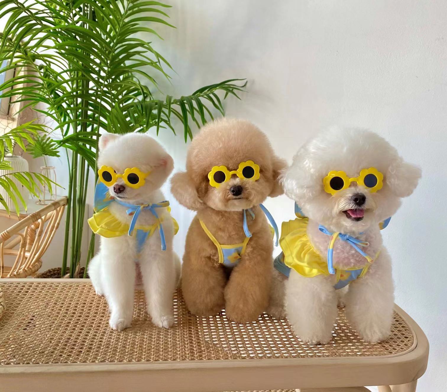 微信图片_20220512103156