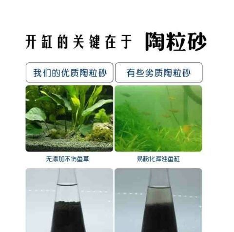 b48749fd-2f8e-4fd9-8714-b8b4113b81ae.jpe