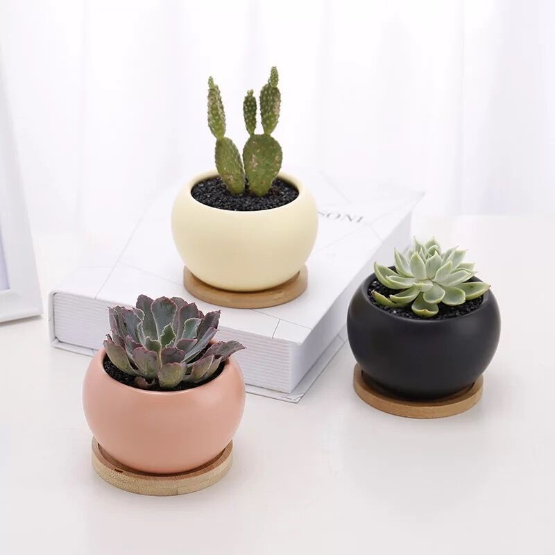 gWeQi/KjxNSy4/pny8EefNJaof7jyuO33UD+