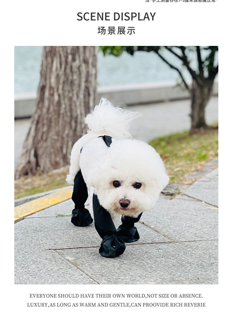 274ce2cb-eb48-4c12-8e6c-e30eb95a6e78.jpe