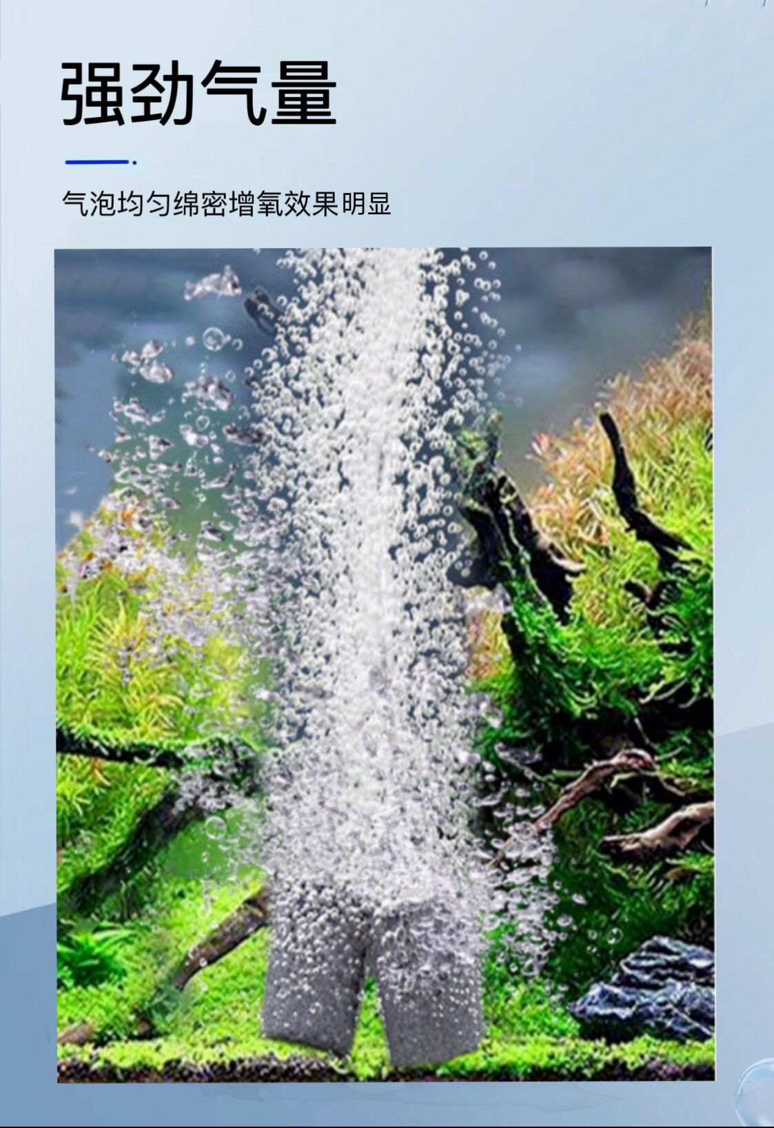 微信图片_20230309161242