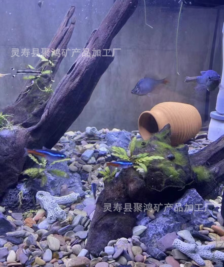 微信图片_202206151115102