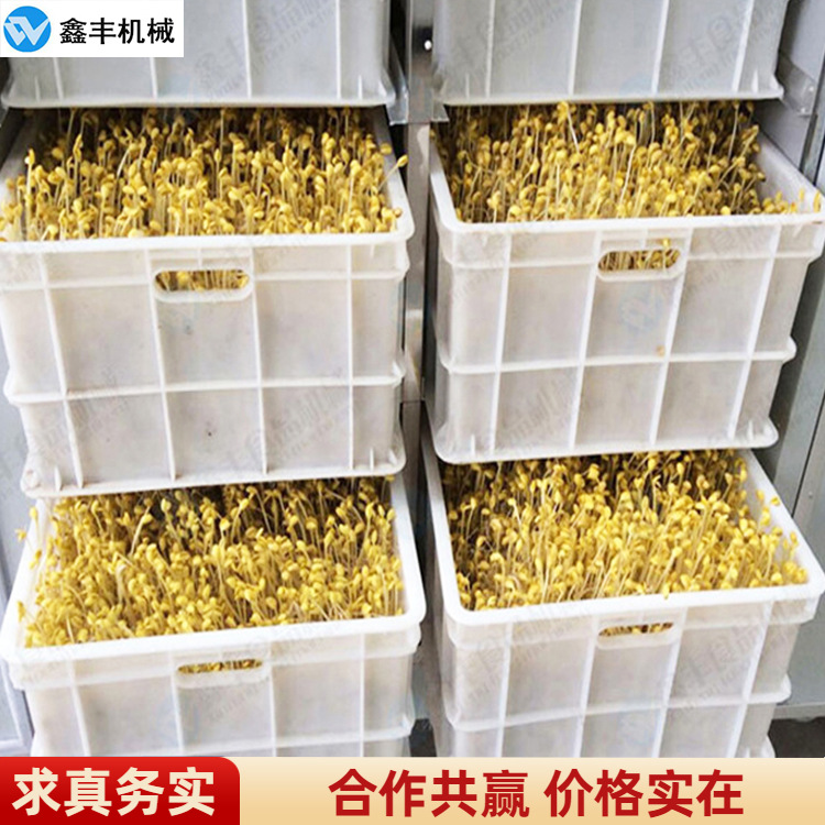 自动豆芽机 (2).jpg
