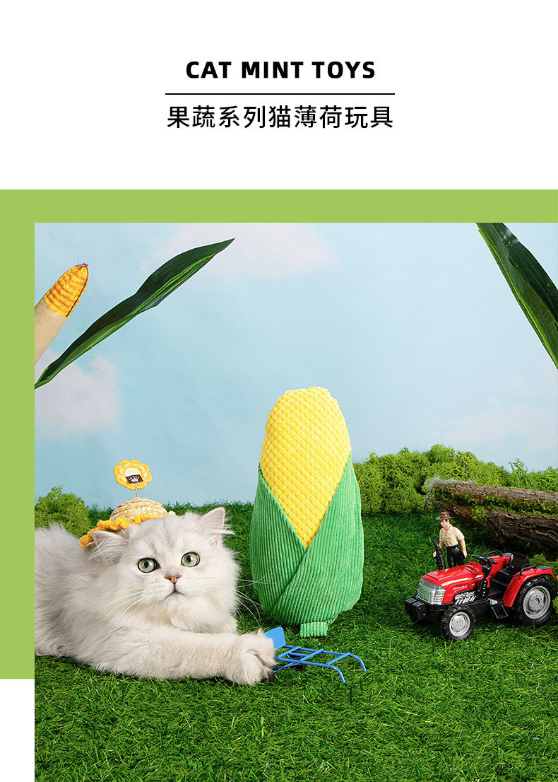 未标题-1_01.jpg