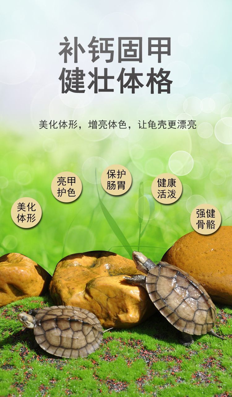 7056e35b-a98a-451d-9f64-8d8e392fa0d9.jpe