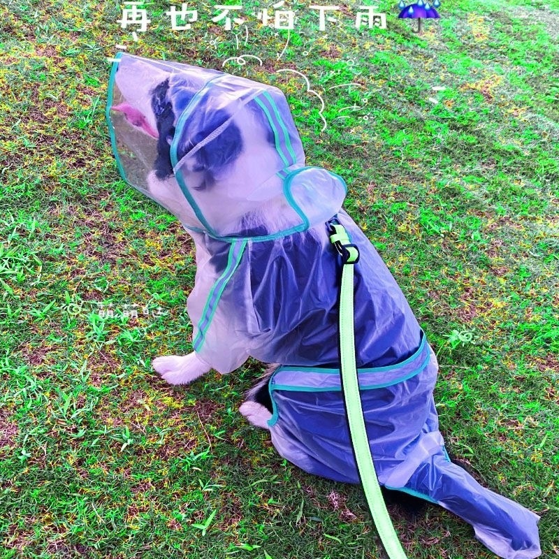 79cabbcd-efa0-493b-acf4-8ce415d97b46.jpe