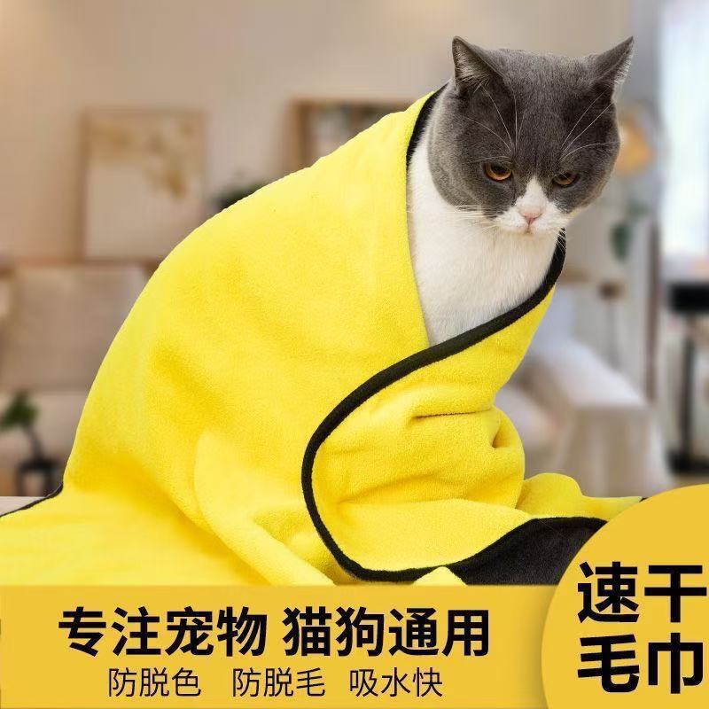 7e290979-085d-424a-94c5-2b38c97c3bc8.jpe