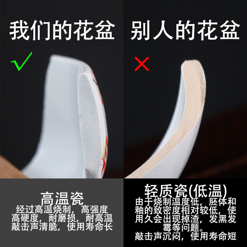 0b134249-fb58-4959-97f6-a874b461818c.jpe