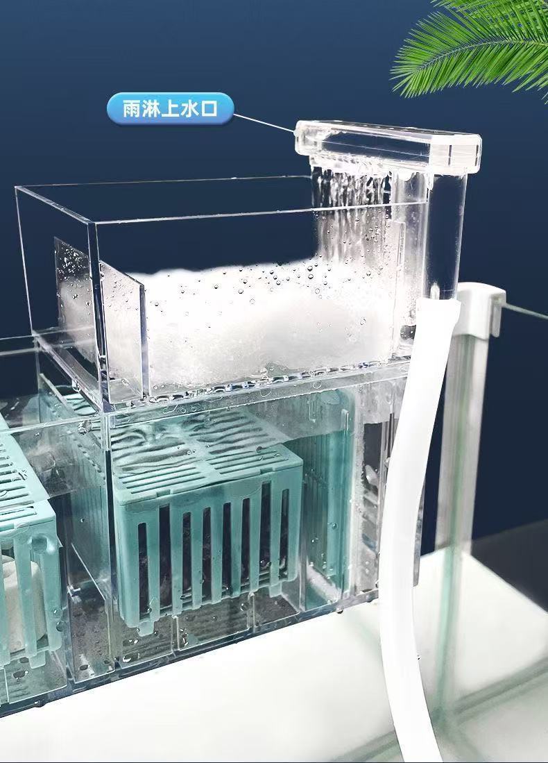 0b3a29b5-7a0f-4318-a248-cf0b3c500c96.jpe