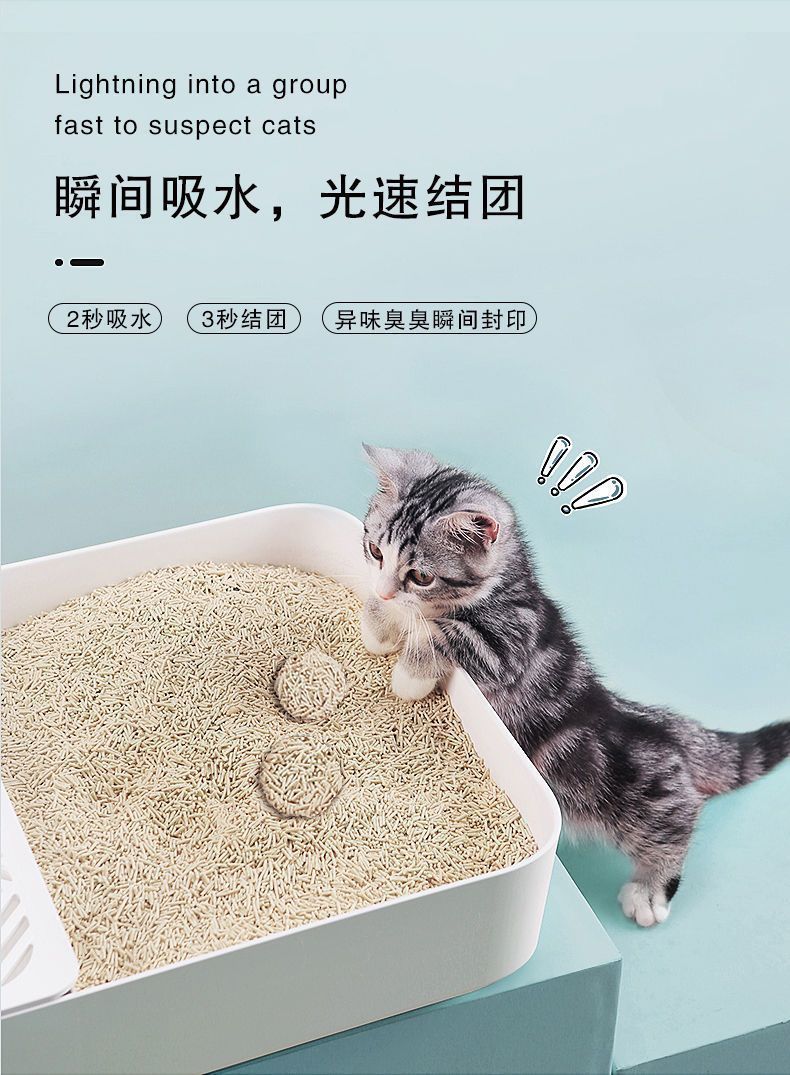 4e1f70f1-4e0d-449e-b09a-f6bba0ad7b86.jpe