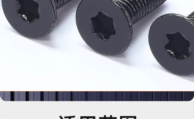 304不锈钢镀黑锌沉头梅花机牙螺丝_03_20.jpg