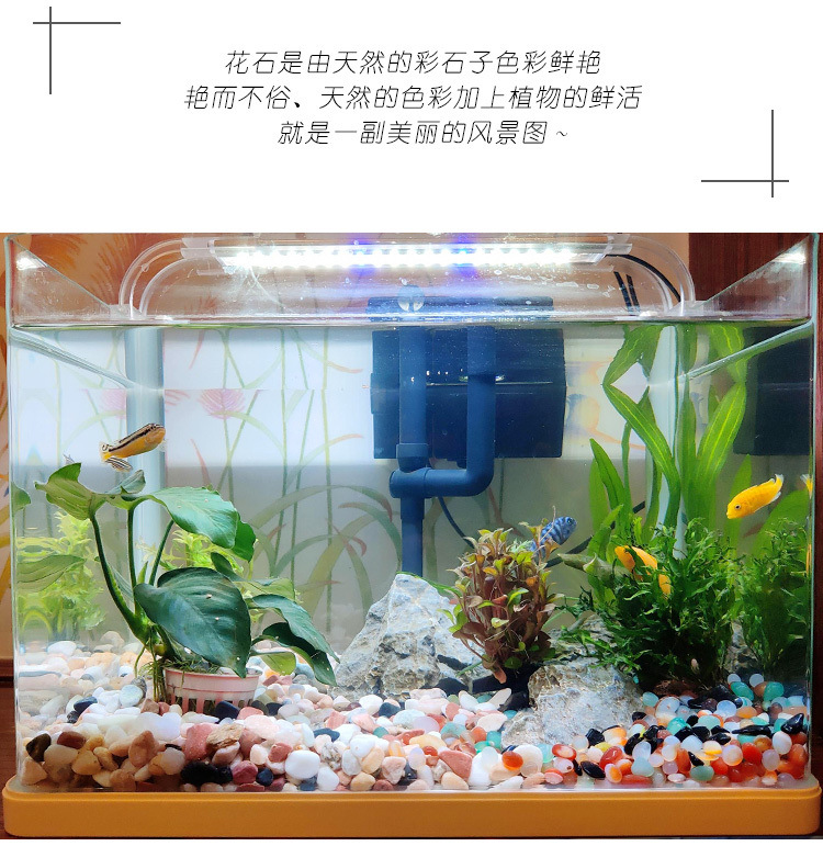 /O1CN01S6oqCB1M2G2W9BBBp_!!2218793051376-0-cib.jpg