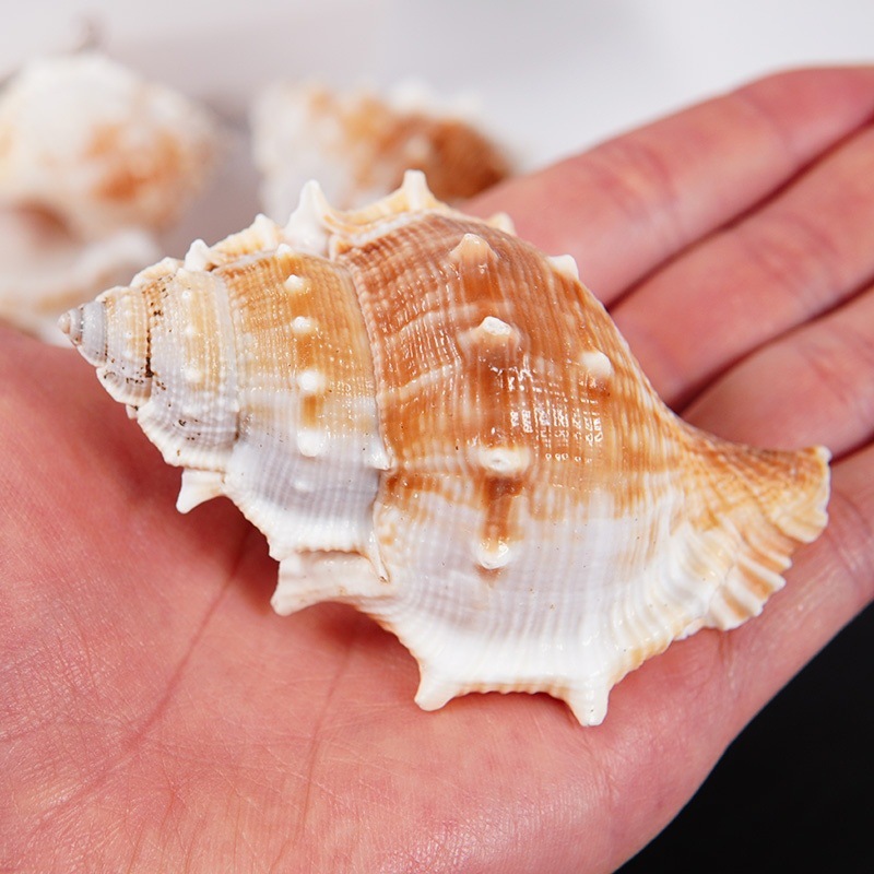 c7a69bd6-754d-4899-a171-ceaa55be9b15.jpe