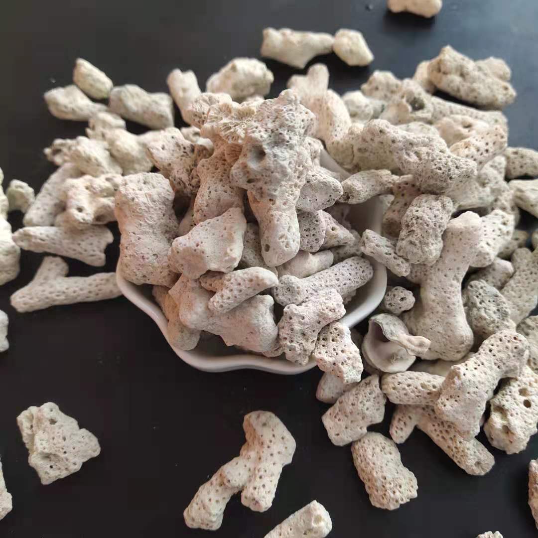 589ea9d6b3b20ff94258215515b873